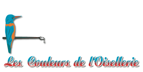 Logo du peintre décorateur à la Roche sur Yon Les Couleurs de L'Osellerie